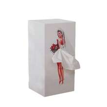 Caja de toallas de papel con volantes para niña, caja de tela creativa de diseñador de marca coreana Strum, suministros para el hogar, estuche de almacenamiento de moda, artículos de primera necesidad, bolsa de regalo con falda abullonada para niñas, funda de tejido para chicas anime, decoración de escritorio de lujo