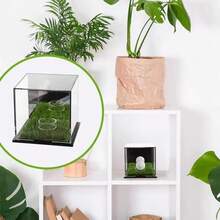 Golf Ball Square Display Box Souvenir Box Bracket Integrated Acrylic Golf Ball Display Box - Transparent 1PC - View 5