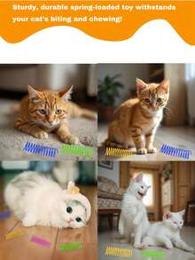 猫玩具，猫弹簧球伸缩弹簧玩具，彩色弹簧管，互动滚球彩色活泼线圈，笼养老鼠弹簧玩具，室内猫咪宠物用品，坚固耐用，鼓励猫咪运动，颜色随机 - 彩色 - 查看 5
