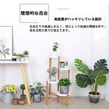 Plant Cages & Supports