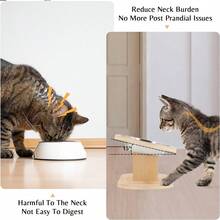 Elevated Cat Food Bowl, 3 Stainless Steel Raised Cat Bowls With Stand, 15°Tilted Cat Bowl For Indoor Cats, Anti Vomitting, Whisker Fatigue And Dishwasher - 700ml - Xem 3