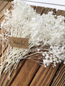 50/100/300 件天然保鲜干满天星花 - 优雅永恒的满天星，适合家庭、办公室、婚礼、圣诞节、万圣节派对、DIY 工艺品免维护，适合 14 岁及以上人群（无纸卡） - 純白滿天星 - 查看 2