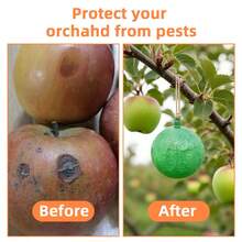 WEINSYT 3PCS Bug Ball Sticky Fly Traps Fruit Fly Traps For Indoors And Outdoors Reusable Plastic Fly Trap Indoor For Mosquitoes Wasps And Gnats Garden Home Farm Use