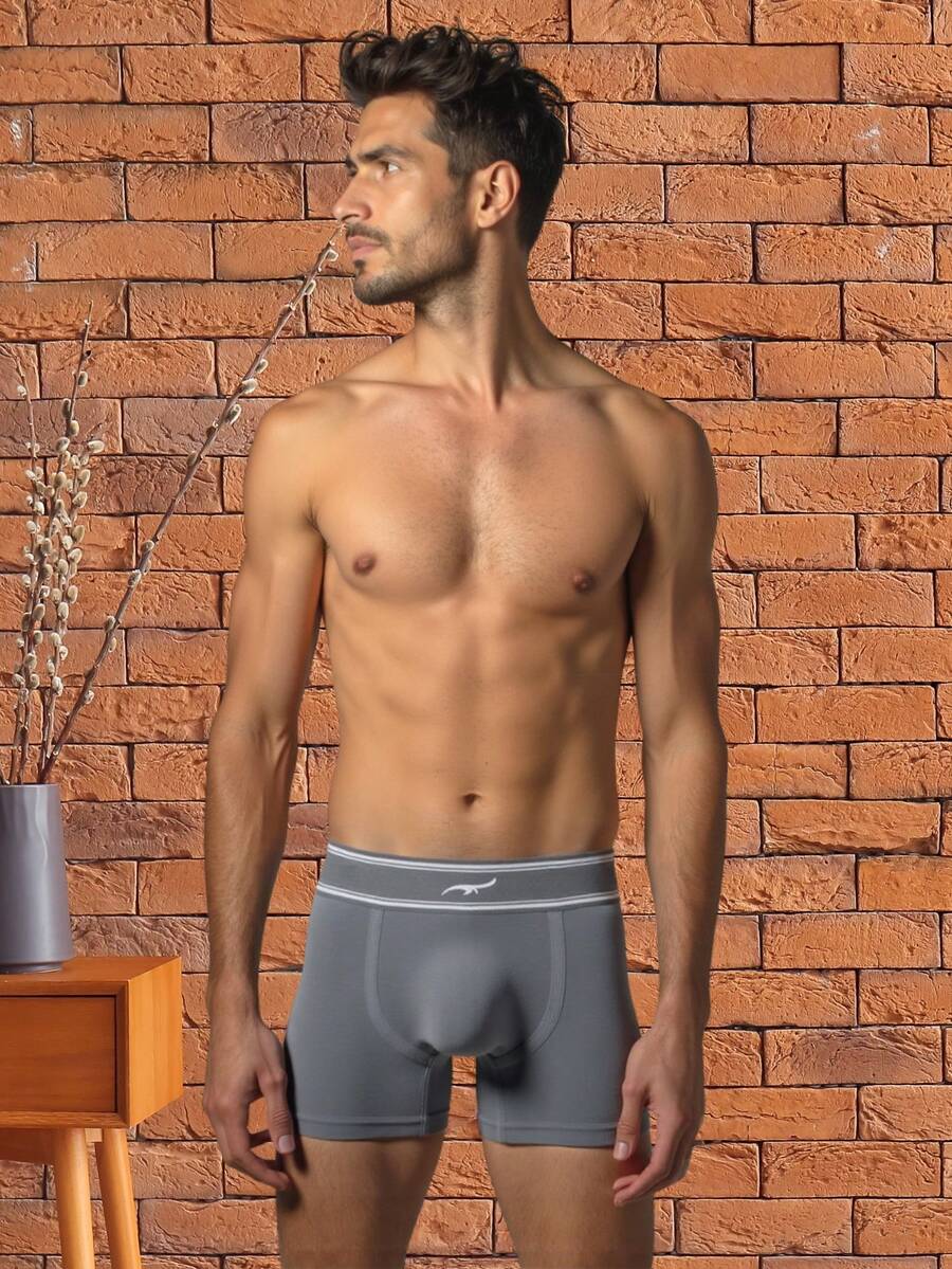 Zee Rucci Premium Seamless Original Men's Boxer Briefs - 灰色 - 查看 1