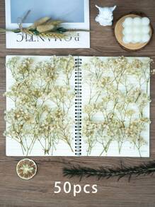 50/100/300pcs Natural Dried Baby's Breath Flowers - Elegant Preserved Baby's Breath, Suitable For Home, Office, Wedding, Christmas, Halloween Party, Crafts, Maintenance-Free, Suitable For 14+ Years Old (No Paper Card)