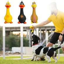 1 件宠物狗玩具尖叫鸡挤压声音玩具橡胶鸭吱吱咀嚼耐用玩具用于小狗训练，鸭子/鸡设计狗咀嚼玩具，坚固的吱吱狗出牙玩具