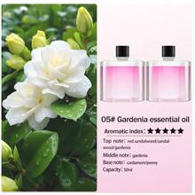 Máquina de aromaterapia con conexión USB para montaje en vehículo, difusor de aceites esenciales de escritorio, máquina de aromaterapia para rociar habitaciones de hotel, desodorización de baños y difusor de aire para salas de estar y dormitorios con modo silencioso. Disponible con 5 tipos de aceites esenciales. Ambientador de coche con batería recargable por USB, adecuado para el hogar, el coche, espacios pequeños, nuevos accesorios para coche, decoración exterior y decoración del jardín.