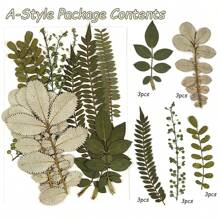 1pc Natural Dried Pressed Flowers, Green Leaves, For Diy Epoxy Resin Jewelry Mold, Candle, Soap Making, Nail Art Decoration