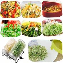 2 1000ml Bean Sprout Cups With Two Stainless Steel Strainer Lids, Stand And Brush For Growing Broccoli, Alfalfa, Green Beans And More - Translucent - View 8