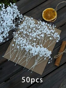 50/100/300 件天然保鲜干满天星花 - 优雅永恒的满天星，适合家庭、办公室、婚礼、圣诞节、万圣节派对、DIY 工艺品免维护，适合 14 岁及以上人群（无纸卡） - 純白滿天星 - 查看 4