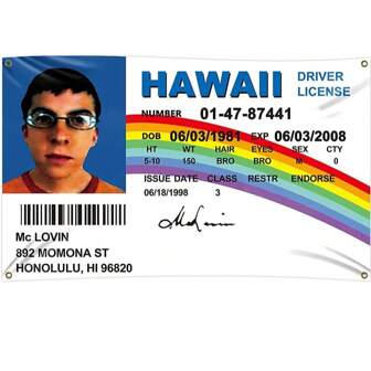 McLovin ID 旗驾驶执照旗 3x5 英尺横幅带 4 个黄铜扣眼 3x5 英尺，用于大学宿舍、户外、排队旗