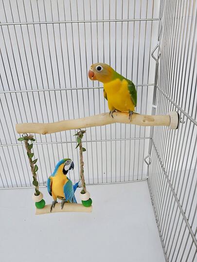 1 pieza Hamaca de color caramelo con loro, columpio de hoja falsa, juguete de perchas para jaula de pájaros (color aleatorio enviado)