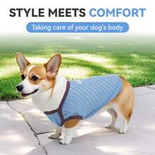 1 件轻便透气有弹性的宠物背心，适合中小型犬，春夏季