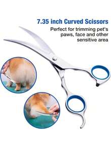 Pet/Animal/Cat/Scissors/Pet Grooming Tool Set - Màu xanh nhạt - Xem 6