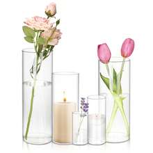 Tomnk 5/30/40/50pcs Glass Cylinder Vases-4, 6, 8, 9.8, 11.8 Inch Tall Hurricane Floating Glass Candle Holders Clear Flower Vases For Centerpieces Home Table Decor Wedding Party Decorations, Wholesale Pricing For Florists, Small Businesses & Bulk Orders, Home Decorations - 無色 - 查看 2