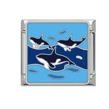 1 pièce Accessoires créatifs de la série Éléments de l'océan, bijoux DIY frais et personnalisés. Bracelet, collier, bague, bracelet de cheville et raffiné.