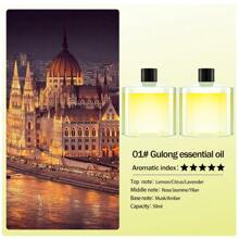 Máquina de aromaterapia con conexión USB para montaje en vehículo, difusor de aceites esenciales de escritorio, máquina de aromaterapia para rociar habitaciones de hotel, desodorización de baños y difusor de aire para salas de estar y dormitorios con modo silencioso. Disponible con 5 tipos de aceites esenciales. Ambientador de coche con batería recargable por USB, adecuado para el hogar, el coche, espacios pequeños, nuevos accesorios para coche, decoración exterior y decoración del jardín.