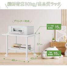 DEWEL プリンター台 プリンターラック 幅48×奥行40×高さ37cm プリンターカート 2段 キャスター付き アジャスター付き 机上台 プリンタースタンド サイドテーブル 机下/机上両対応 オフィス/ホーム用 (ホワイト) - ホワイト - チェックする 2