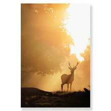 1 Stück/3 Stücke Wandkunst Poster wahlweise mit Rahmen, Wanddekoration, Herbst Tiere Landschaft, See Bäume, Tiere, Hirsche Wälder, Leinwanddruck und Poster, Kürbis Schilf Gemälde, Wohnzimmer Bilder, Dekoration