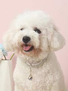 1 chiếc mặt dây chuyền hình dấu chân thú cưng thời trang và thanh lịch, đính đá, thích hợp cho mèo và chó nhỏ làm phụ kiện trong nhà và ngoài trời (không thích hợp cho chó lớn) - trắng - Xem 5