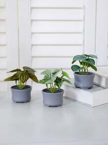 Conjunto de 3 macetas con suculentas simuladas, combinación de verde y rosa, plantas artificiales miniatura falsas para jardín, escritorio, habitación, ventana, regalo de inauguración de casa, decoración de arte, decoración de oficina, boda