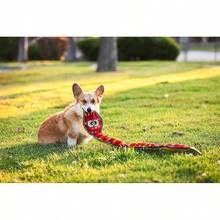 Outward Hound Seamz Gator Plush Dog Toy, Large - Snake - 查看 4