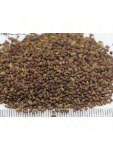 100 Grains Of Mixed Giant Hisbiscus Seeds, Shipped From The United States, Are Used To Grow Multi-Year-Old Flowers, Suitable For Outdoor Courtyard Garden Planting. - màu đen - Xem 10