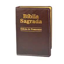 Bíblia Sagrada Letra Pequena Luxo Marrom