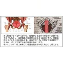 Fitness Equipment Maintenance - 如圖 - 查看 6