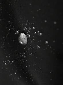 Manteau matelassé épais à capuche amovible avec col en fourrure, nouvelle arrivée pour l'hiver pour femmes - Noir - Voir 6