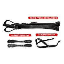 Montura Silla Charra para Caballo de Vaqueta Premium con Asiento Ortopédico-Cantinas-Arsiones Ajustables Equipada Con Carona y Cincho - Negro - Ver 3