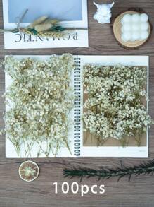 50/100/300pcs Natural Dried Baby's Breath Flowers - Elegant Preserved Baby's Breath, Suitable For Home, Office, Wedding, Christmas, Halloween Party, Crafts, Maintenance-Free, Suitable For 14+ Years Old (No Paper Card)