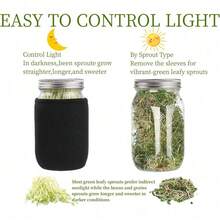 2 1000ml Bean Sprout Cups With Two Stainless Steel Strainer Lids, Stand And Brush For Growing Broccoli, Alfalfa, Green Beans And More - Translucent - View 5