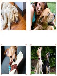 Juguetes de masticar de cuerda de algodón para perros, juguetes de teethdingding duraderos, juguete interactivo para mascotas, suministros para animales