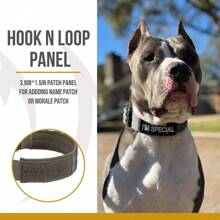 1pc Adjustable Nylon Tactical Dog Collar, 4 Color Outdoor Tactical Dog Collar For Training, Pet Dog Neck Collar With Tether, Training Tactical Dog Rope For Military Dogs, Suitable For Medium And Large Dogs, Suitable For Dog Walking, Daily Use, And Combat Training