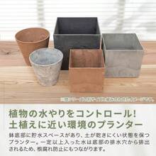 Flower Pots