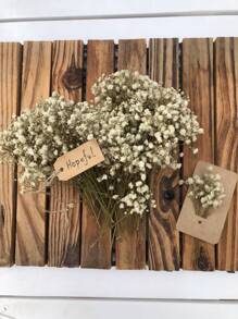 50/100/300pcs Natural Dried Baby's Breath Flowers - Elegant Preserved Baby's Breath, Suitable For Home, Office, Wedding, Christmas, Halloween Party, Crafts, Maintenance-Free, Suitable For 14+ Years Old (No Paper Card)