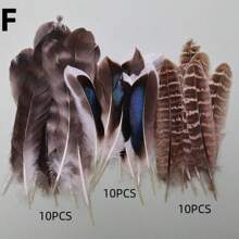 24pcs/4 Styles Natural Spotted Feathers, 6-8 Inches, Bulk Craft Supplies For Clothing, Jewelry, DIY Decoration