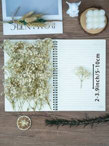 50/100/300pcs Natural Dried Baby's Breath Flowers - Elegant Preserved Baby's Breath, Suitable For Home, Office, Wedding, Christmas, Halloween Party, Crafts, Maintenance-Free, Suitable For 14+ Years Old (No Paper Card)