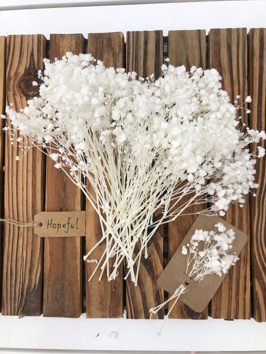 50/100/300 件天然保鲜干满天星花 - 优雅永恒的满天星，适合家庭、办公室、婚礼、圣诞节、万圣节派对、DIY 工艺品免维护，适合 14 岁及以上人群（无纸卡） - 純白滿天星 - 查看 1