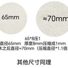 10pcs Textured Painting Squishies DIY White Compressed Wood Pulp Cotton Foaming Textured Painting Paper, Magic Fluffy Paint Fluffy Paint Paper, Cardboard And Expandable Foam Art Paper