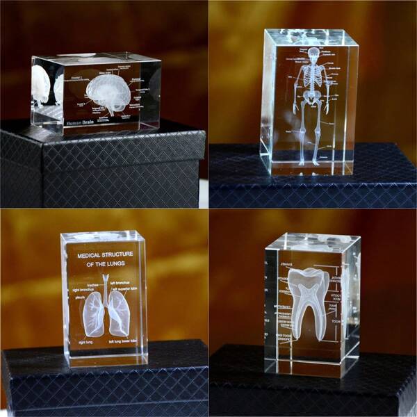 3D geschnitzte medizinische Kristall Ornamente, K9 Auto/Schreibtisch Dekoration, Würfel Herz, Lunge, Skelett, Zahn, Gehirn Anatomie Cartoon Figuren, Biowissenschaft Liebhaber Heim Dekoration, leichte Luxus Tischdekorationen für Zuhause, Familie, Outdoor, Esszimmer