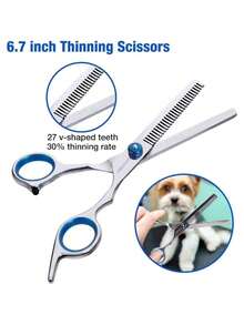 Pet/Animal/Cat/Scissors/Pet Grooming Tool Set - Màu xanh nhạt - Xem 2