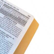 Bíblia Sagrada Letra Pequena Luxo Marrom