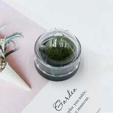 猫玩具：猫薄荷球、猫咬胶、猫自娱玩具、猫逗弄球、龙牙草宠物玩具。 - 彩色 - 查看 16