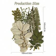1pc Natural Dried Pressed Flowers, Green Leaves, For Diy Epoxy Resin Jewelry Mold, Candle, Soap Making, Nail Art Decoration