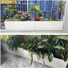 Flower Pots