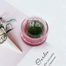 猫玩具：猫薄荷球、猫咬胶、猫自娱玩具、猫逗弄球、龙牙草宠物玩具。 - 彩色 - 查看 18