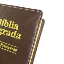 Bíblia Sagrada Letra Pequena Luxo Marrom