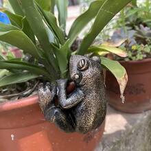青铜壁虎与金刺猬树脂壁挂雕塑 - 卡通风格动漫动物雕像，带青蛙吊坠花盆，逼真的青铜色调盆景装饰，适用于户外花园、露台、阳台和室内家居装饰，耐候，无需电力，节日装饰（圣诞节、万圣节、复活节、感恩节） - 彩色 - 查看 15
